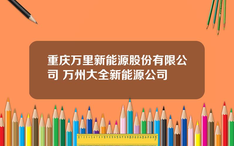 重庆万里新能源股份有限公司 万州大全新能源公司